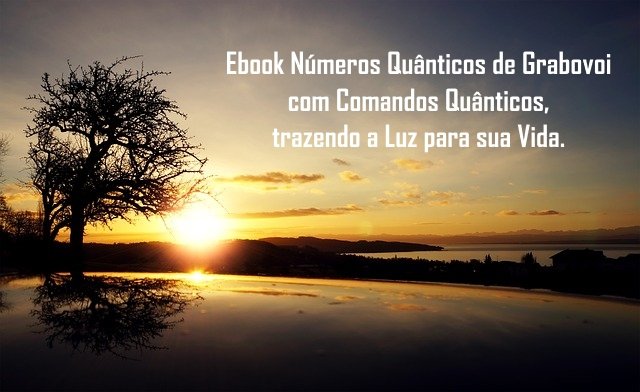 Comandos Quânticos com Números de Grabovoi
