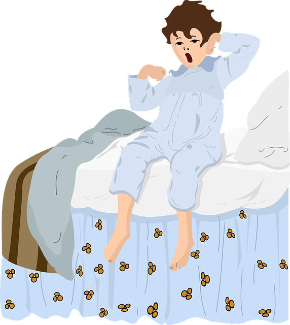 Os Despertos E Os Que Estão Despertando