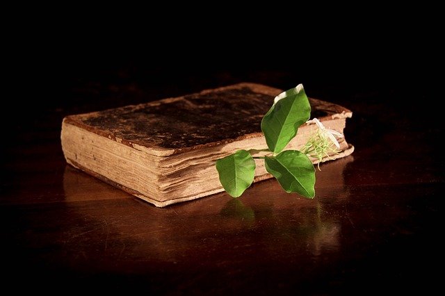 Você São Alquimistas Conscientes